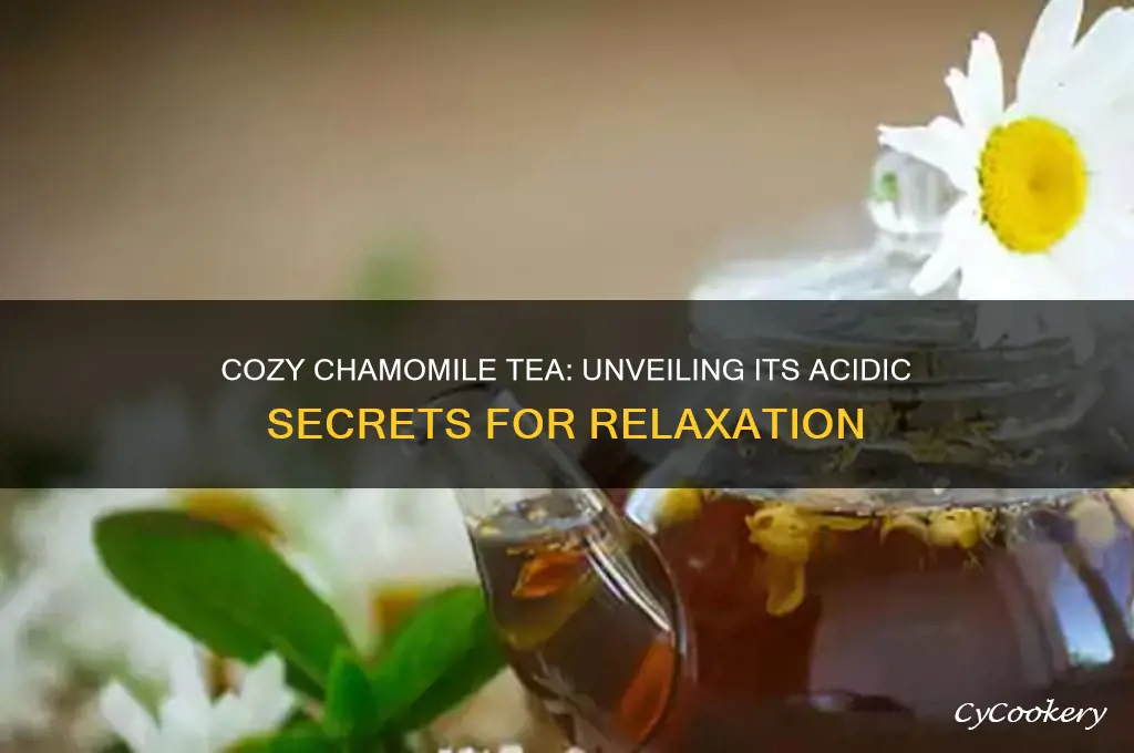 cozy chamomile tea does it have acids
