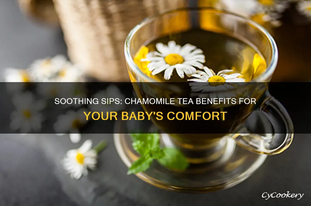 cozy chamomile tea for babies