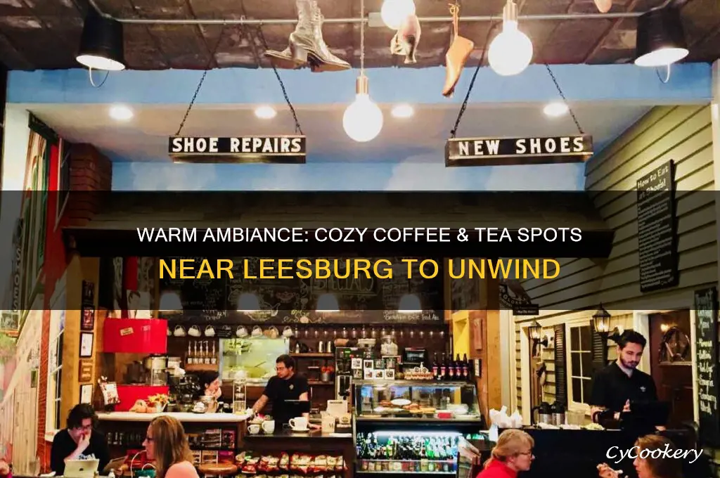 cozy coffee tea places near leesburg