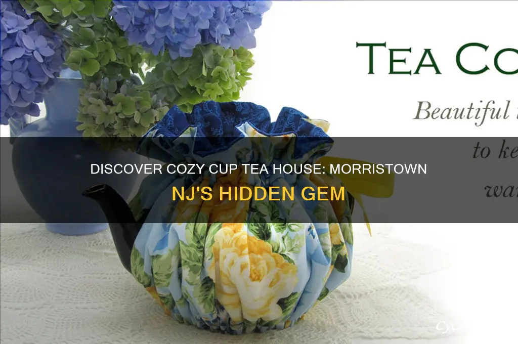 cozy cup tea house morristown nj