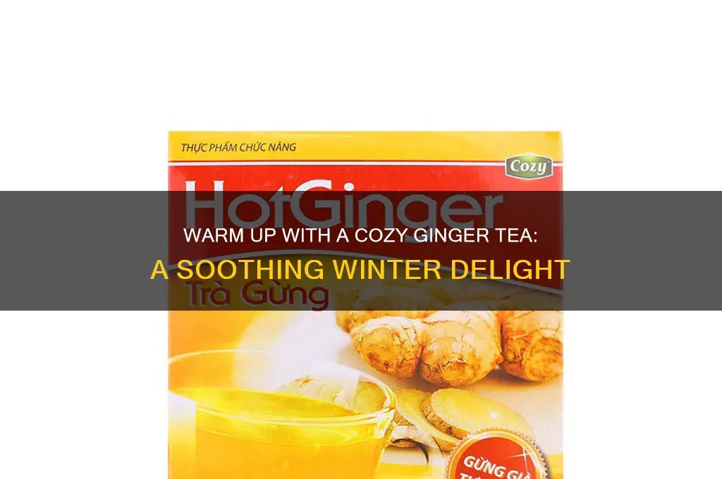 cozy ginger tea