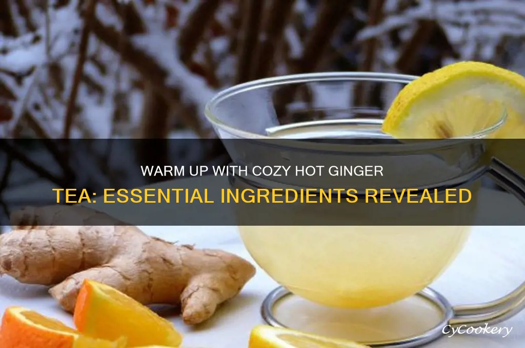 cozy hot ginger tea ingredients
