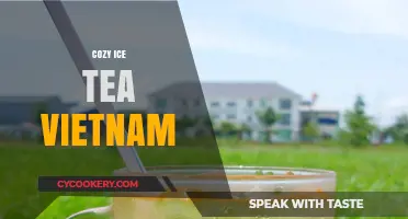 Discover the Warm Comfort of Cozy Vietnamese Iced Tea Delights