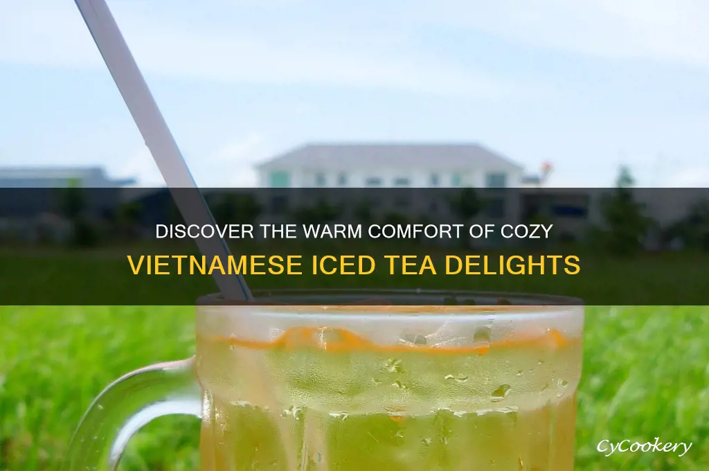 cozy ice tea vietnam