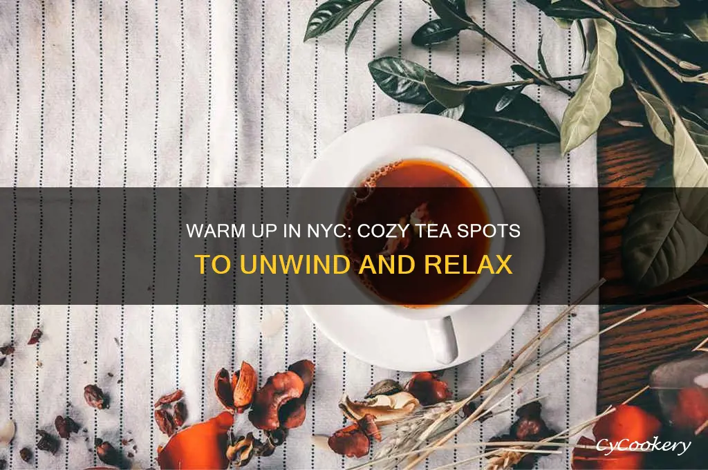 cozy nyc tea