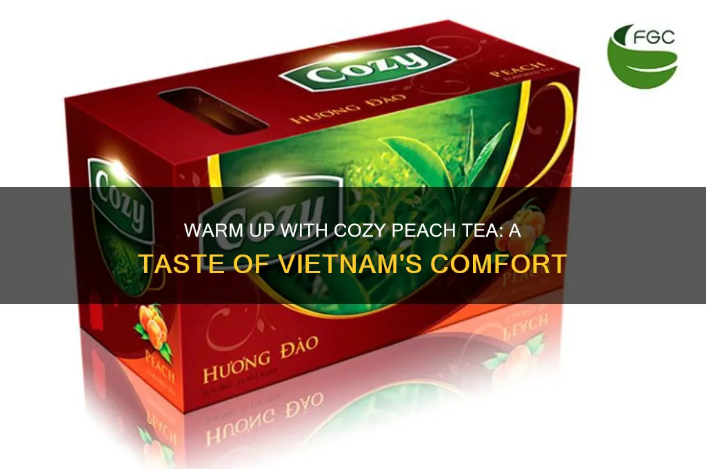cozy peach tea vietnam