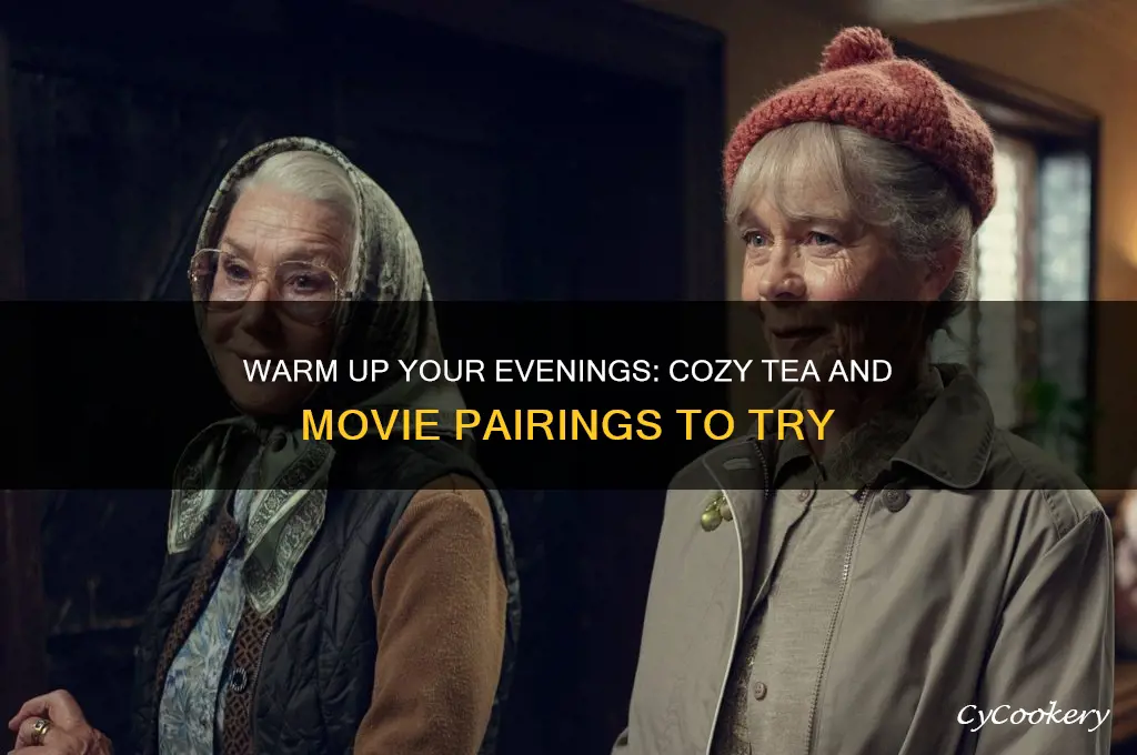 cozy tea and movie
