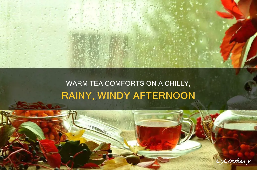 cozy tea cup beside rainy wendy