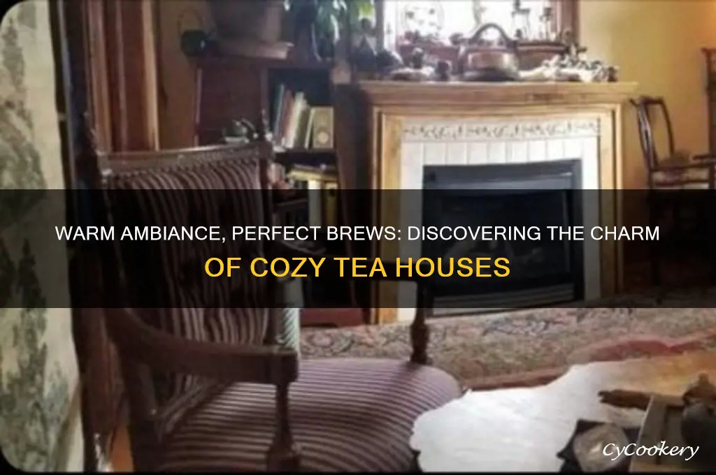 cozy tea house
