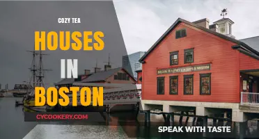 Boston's Coziest Tea Houses: Warm Ambiance, Perfect Brews, and Relaxation