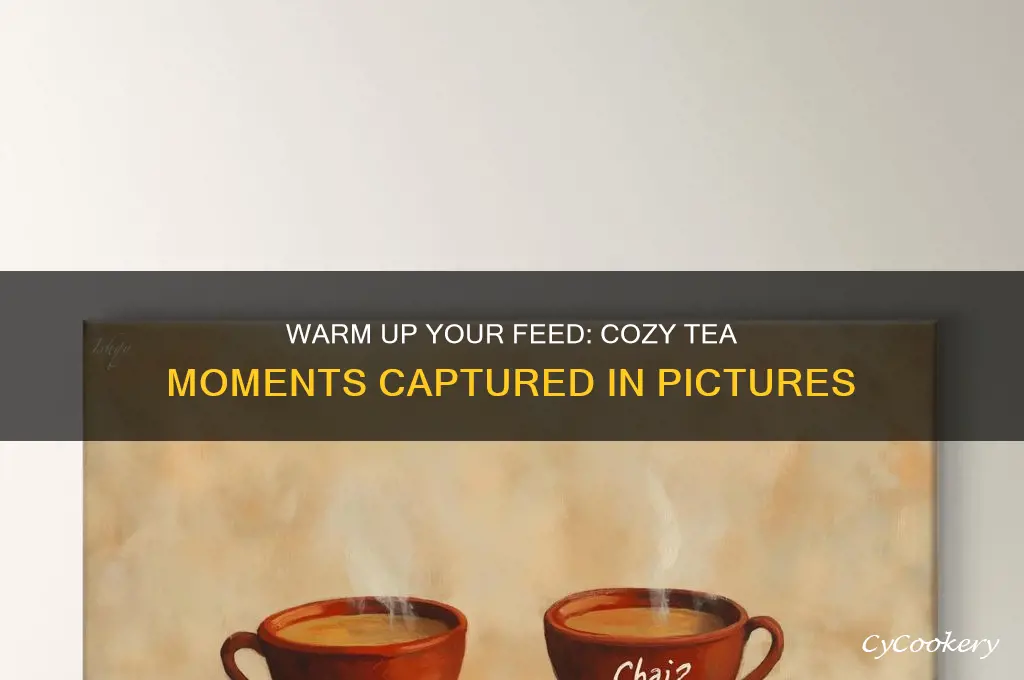 cozy tea pics