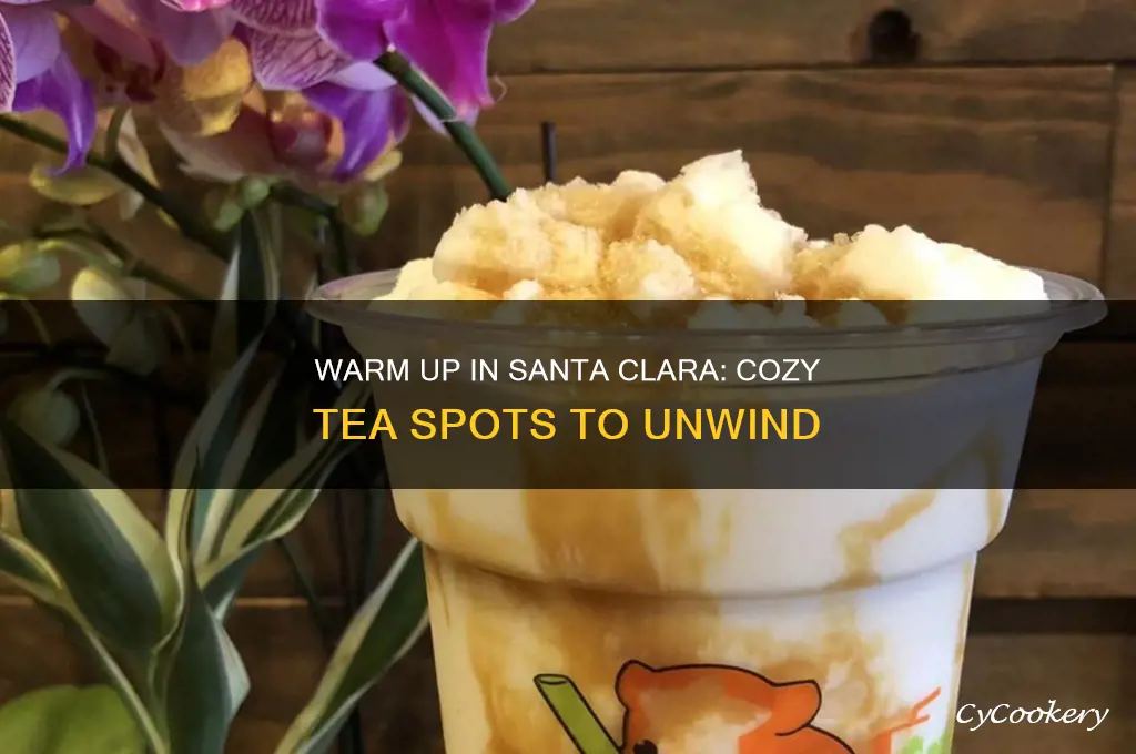 cozy tea places santa clara
