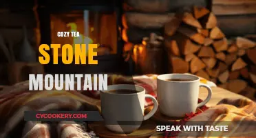 Warm Up with Cozy Tea at Stone Mountain: A Relaxing Retreat
