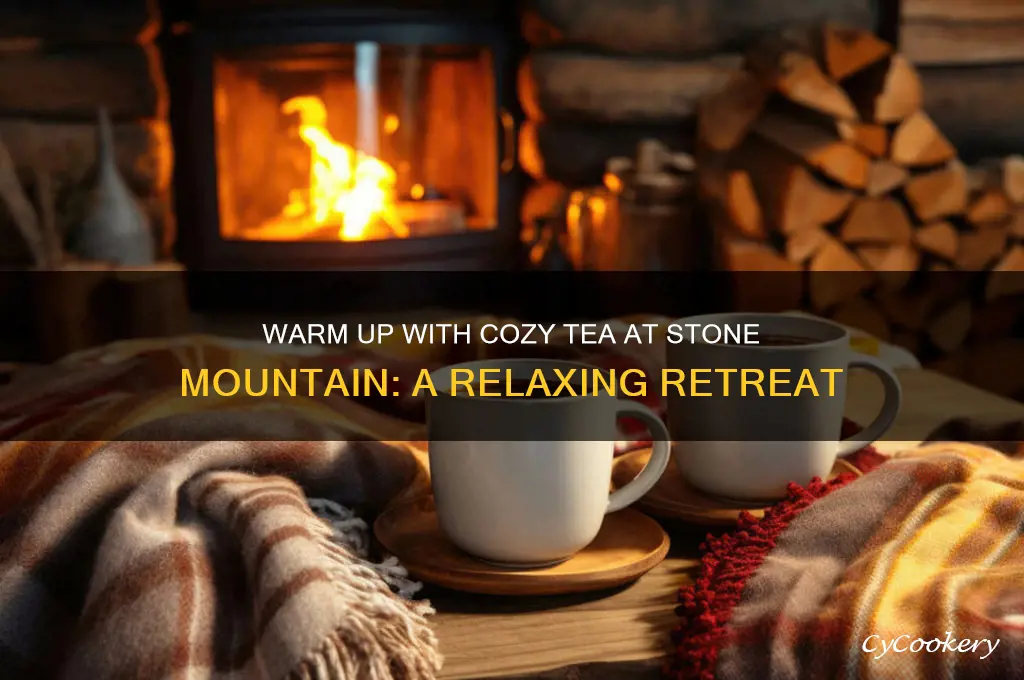 cozy tea stone mountain