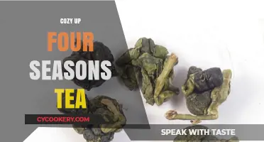 Sip Comfort Year-Round: Cozy Up with Four Seasons Tea Blends