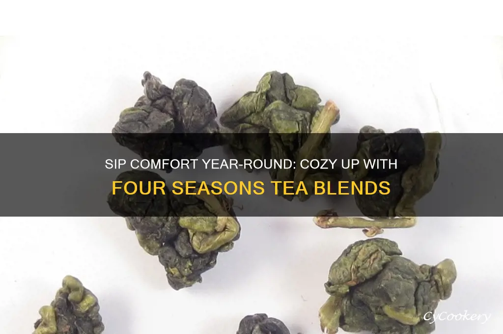 cozy up four seasons tea