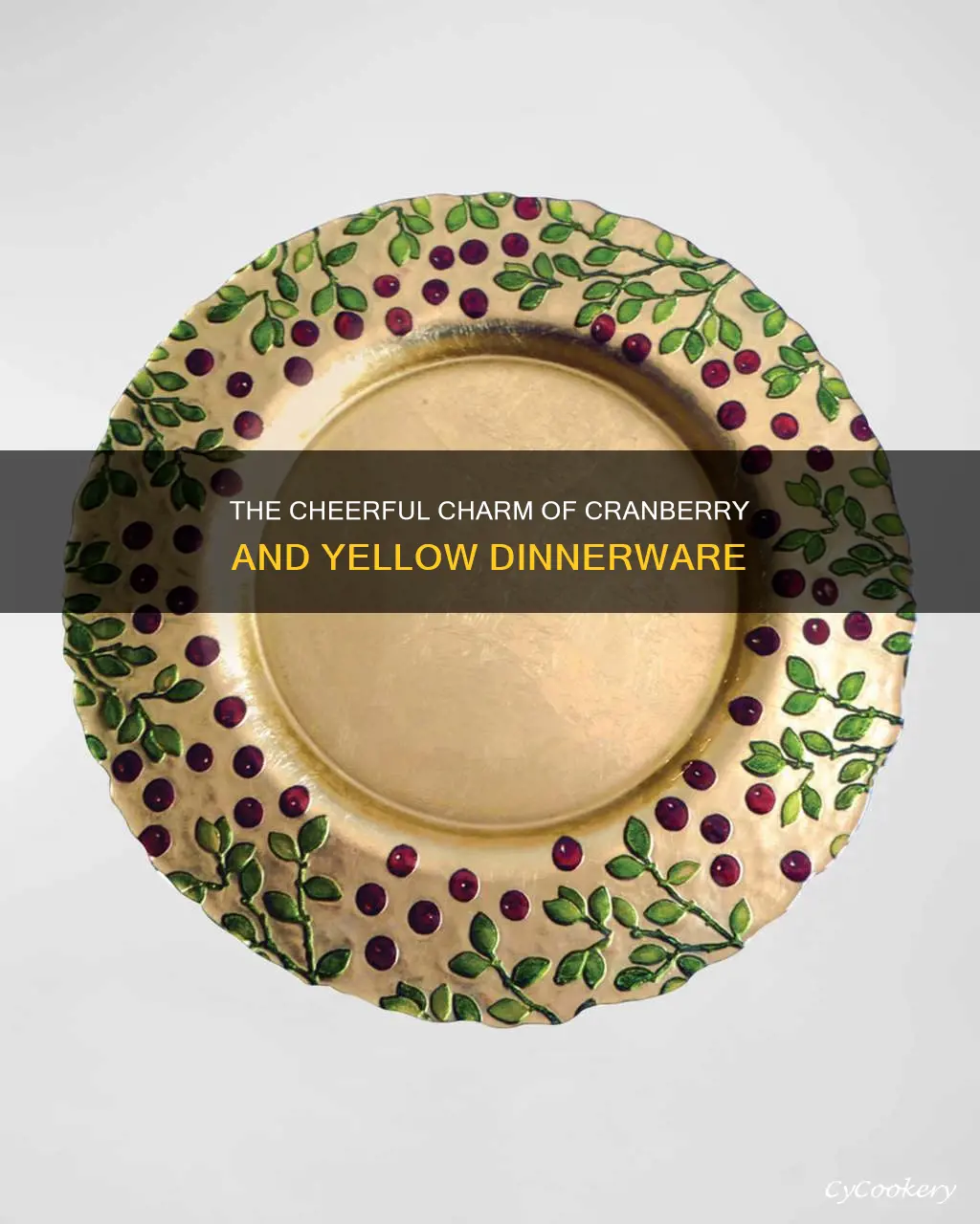 cranberry and yellow dinnerware sets