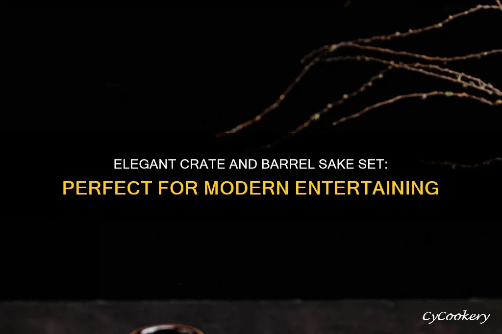 crate and barrel sake set