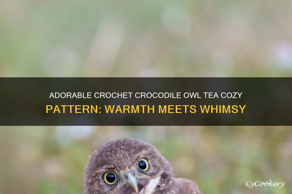 crochet pattern for crocadile owl tea cozy