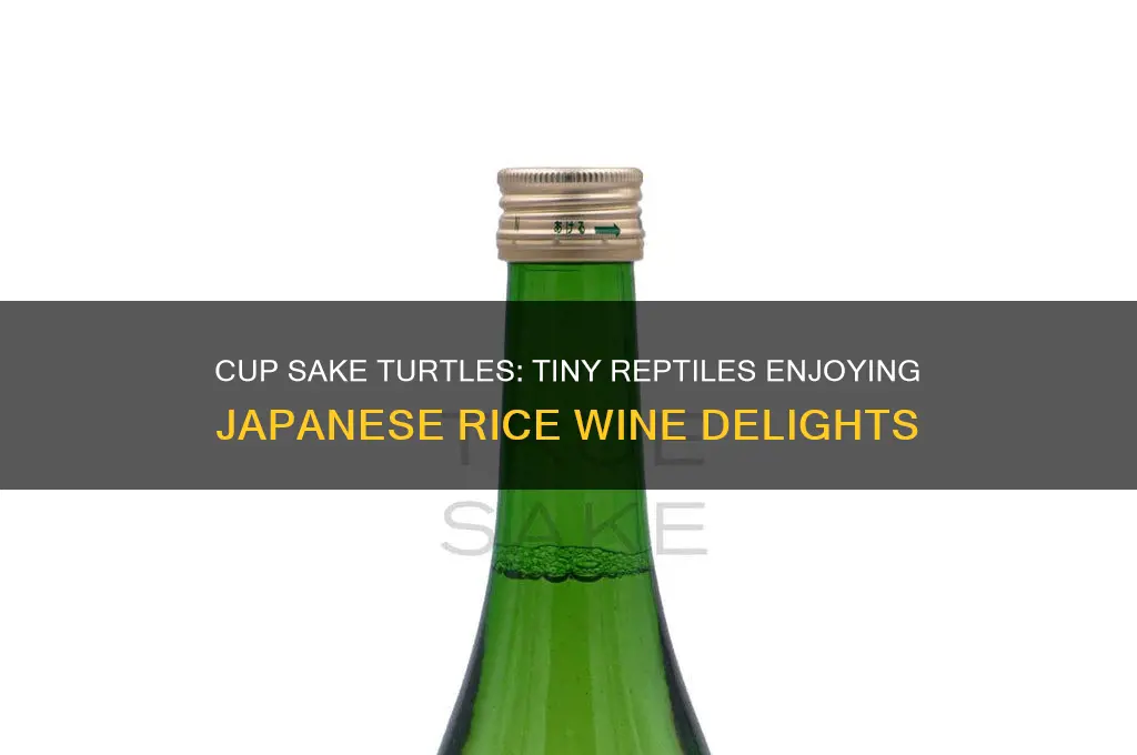cup sake turtles