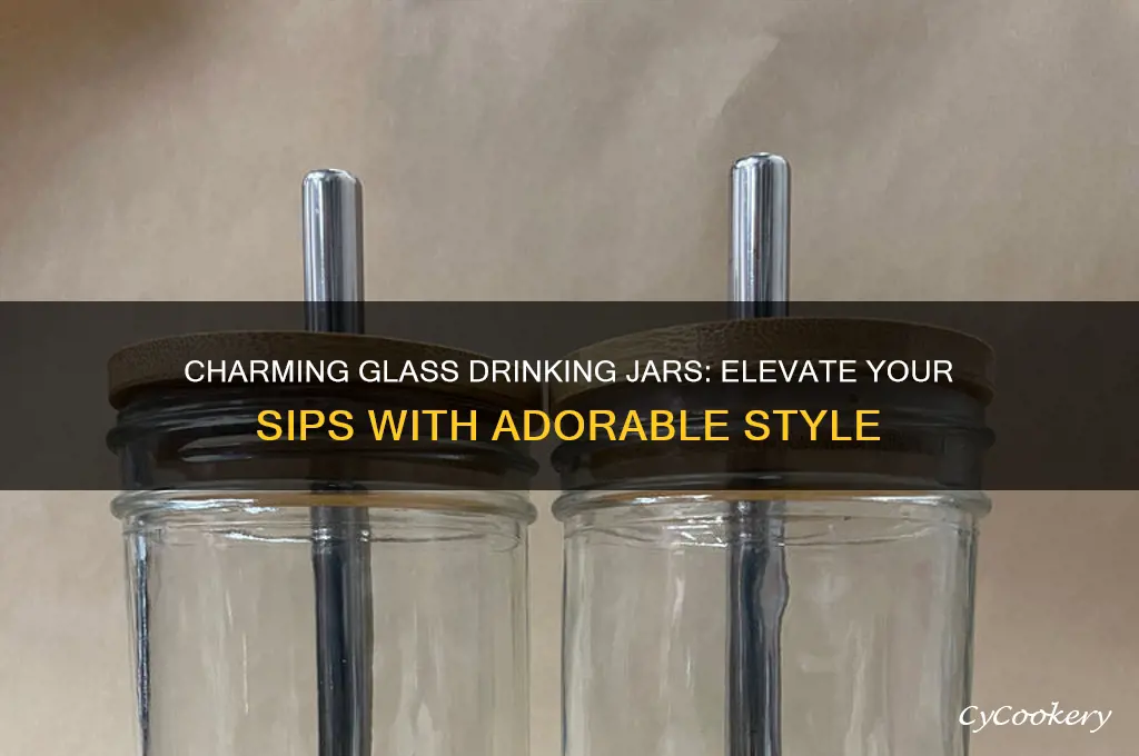 cute glass drinking jars