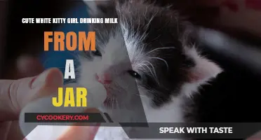 Adorable White Kitty Girl Sips Milk from a Jar