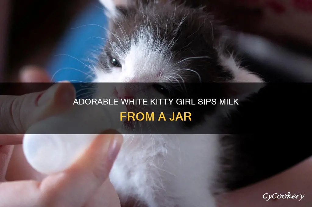 cute white kitty girl drinking milk from a jar