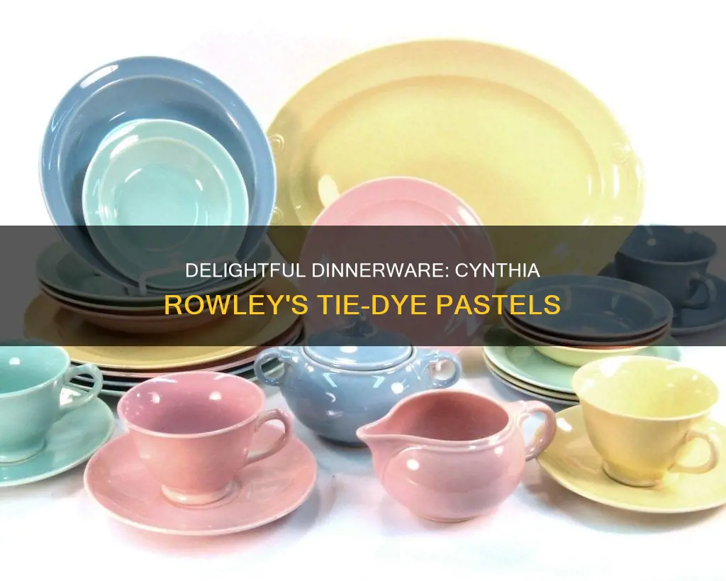 cynthia rowley tye dye pastels dinnerware set four dinner plates