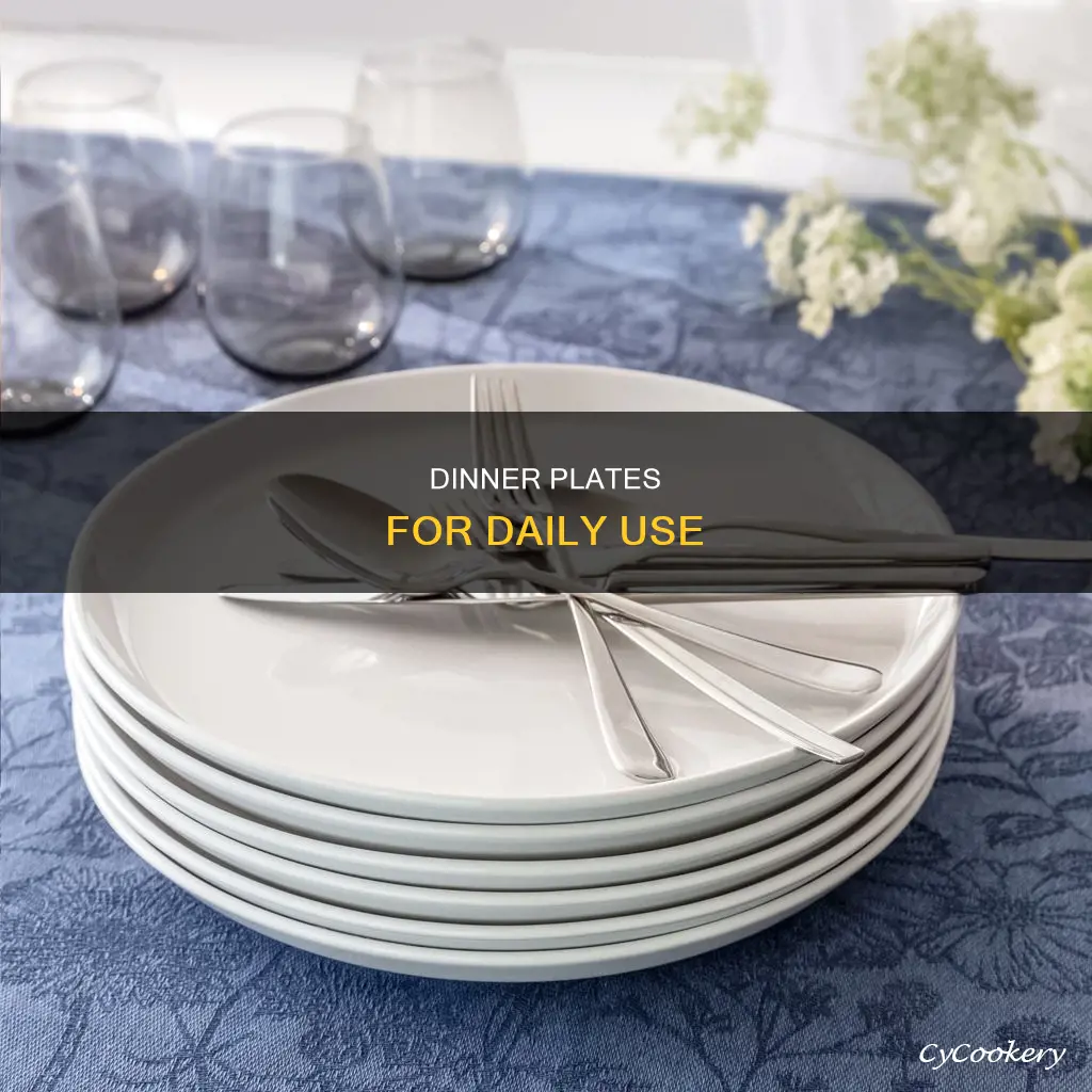 daily use dinner plates