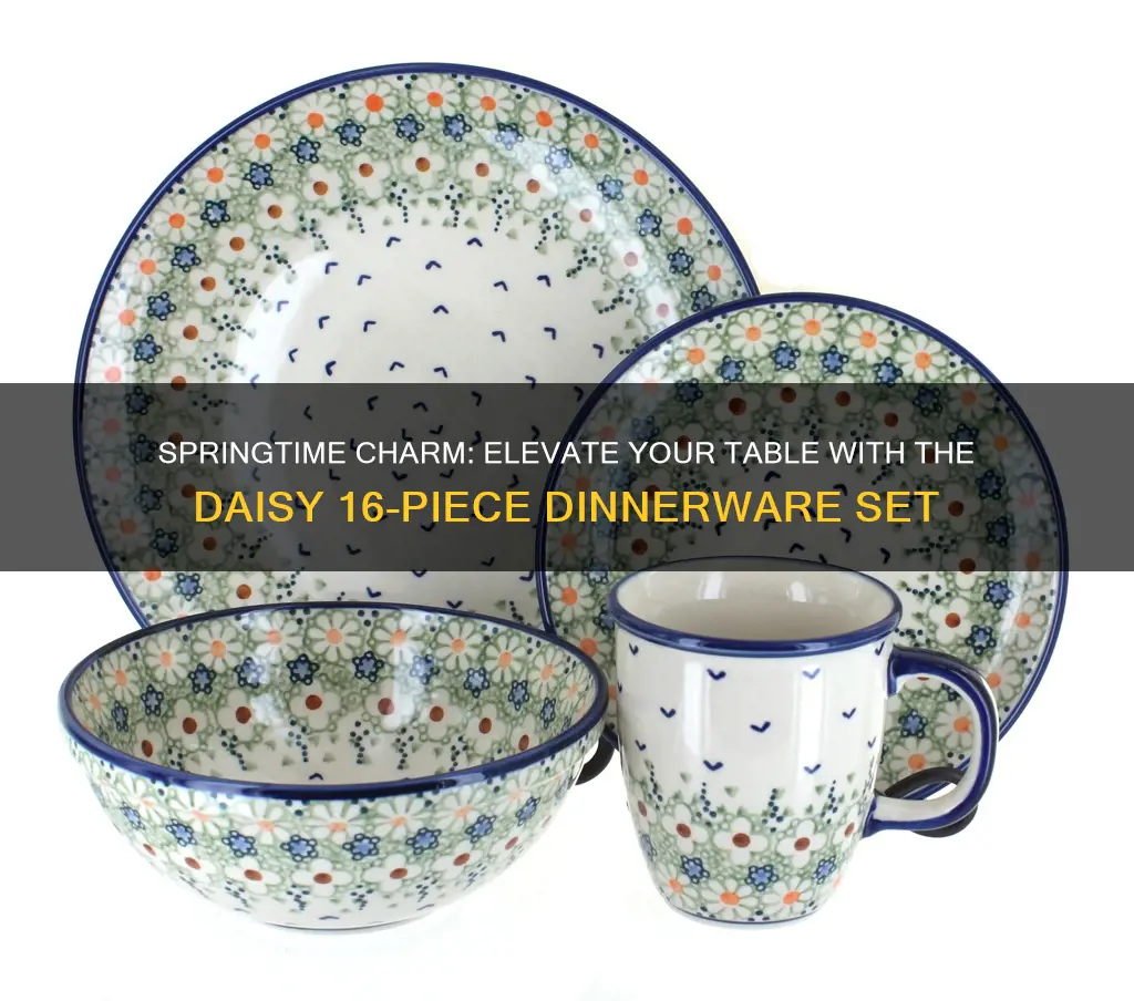 daisy 16 piece dinnerware set