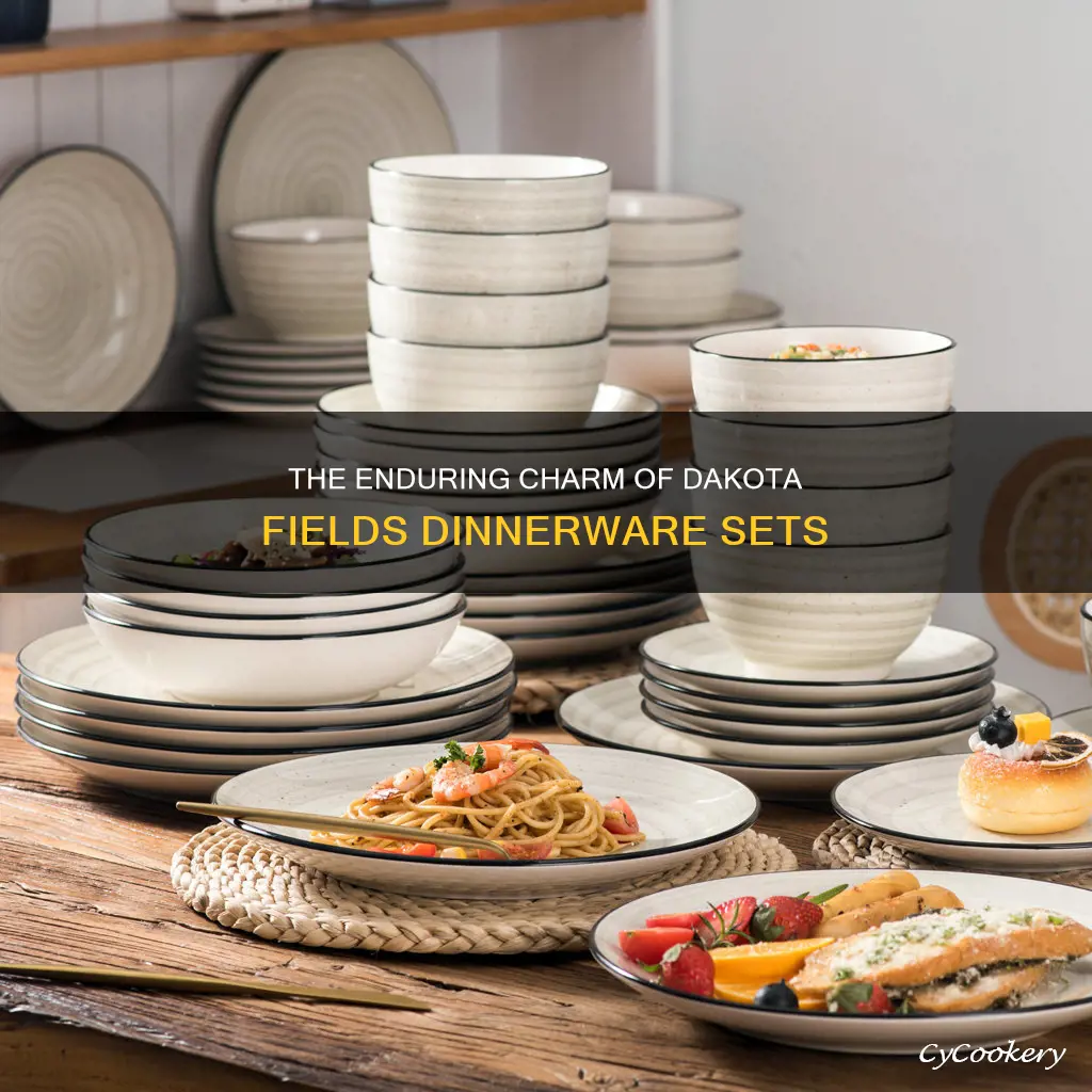 dakota fields dinnerware sets