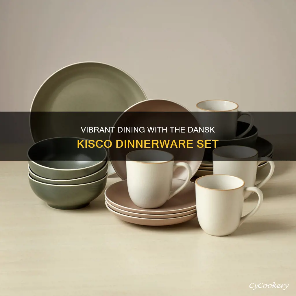 dansk kisco multi-colored 16-piece dinnerware set