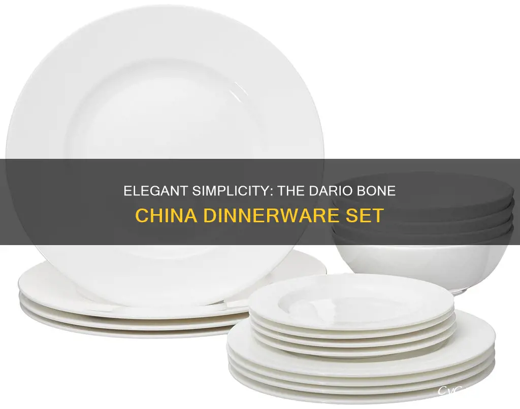 dario 16 piece bone china dinnerware set in white