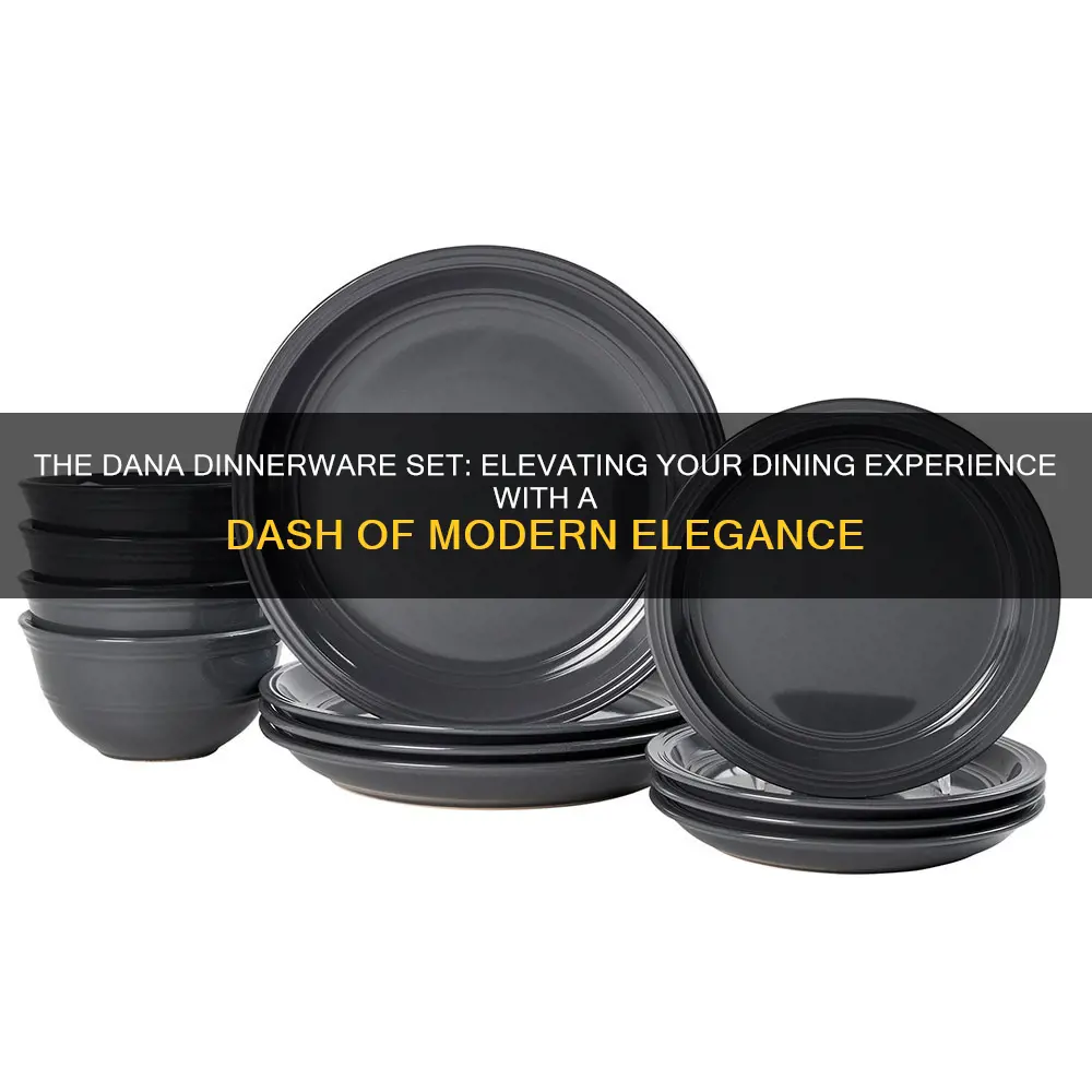 dash of that dana dinnerware set