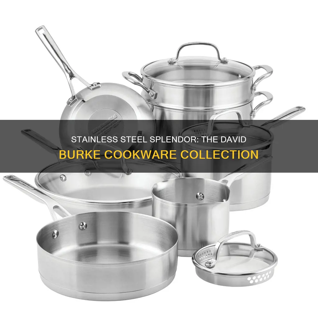 david burke 10 piece stainless steel cookware set