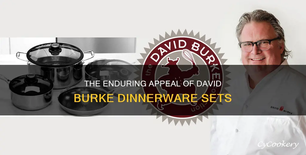 david burke dinnerware set