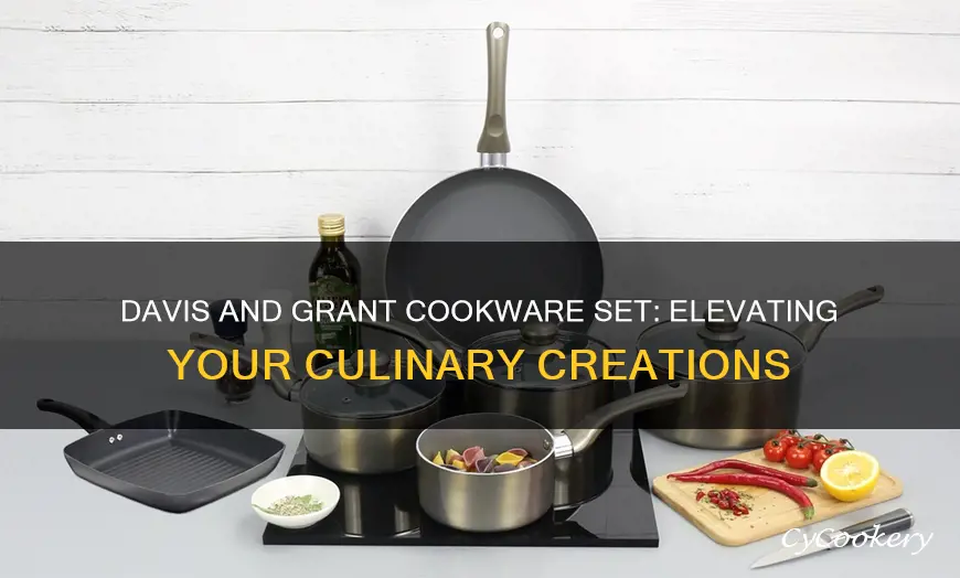 davis and grant cookware set