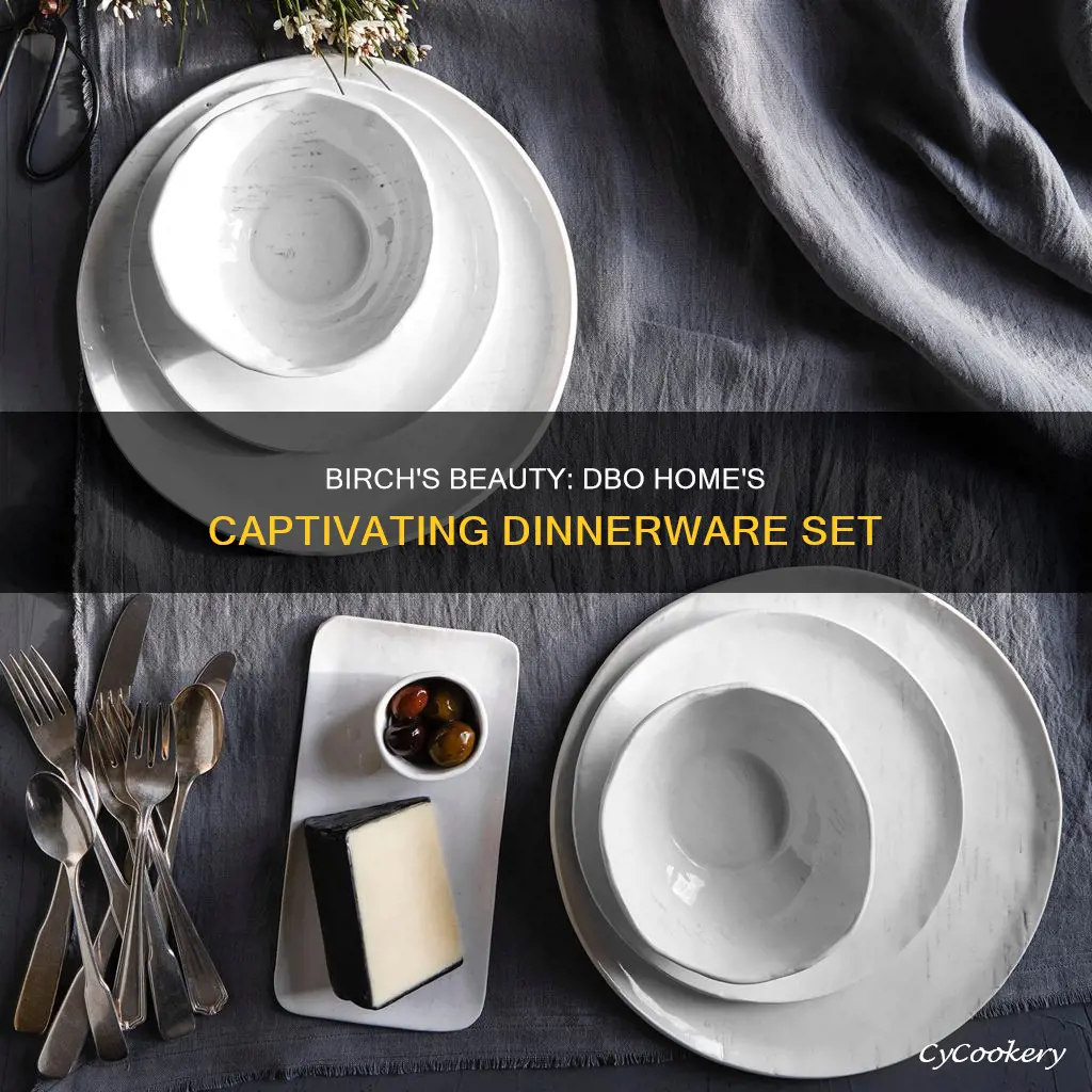 dbo home birch dinnerware set