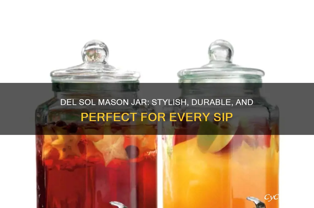 del sol original mason handled drinking jar
