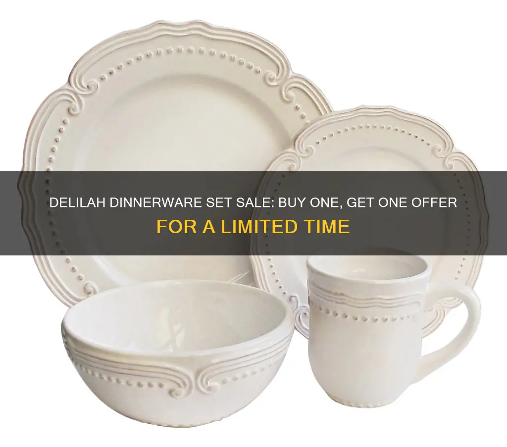 delilah dinnerware set sale bogo