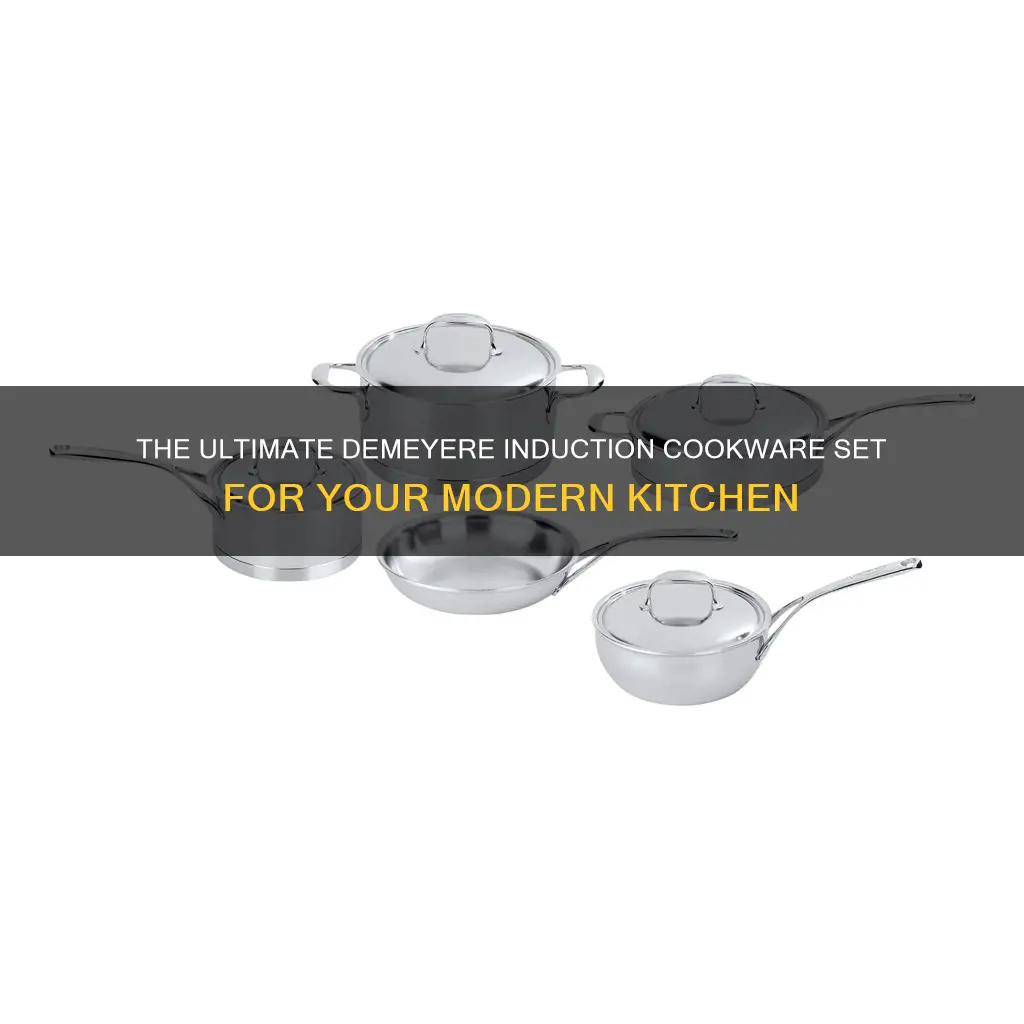 demeyere induction cookware set