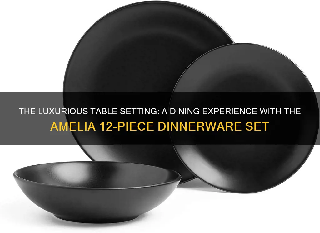 dept 14 amelia 12pc rich black dinnerware set