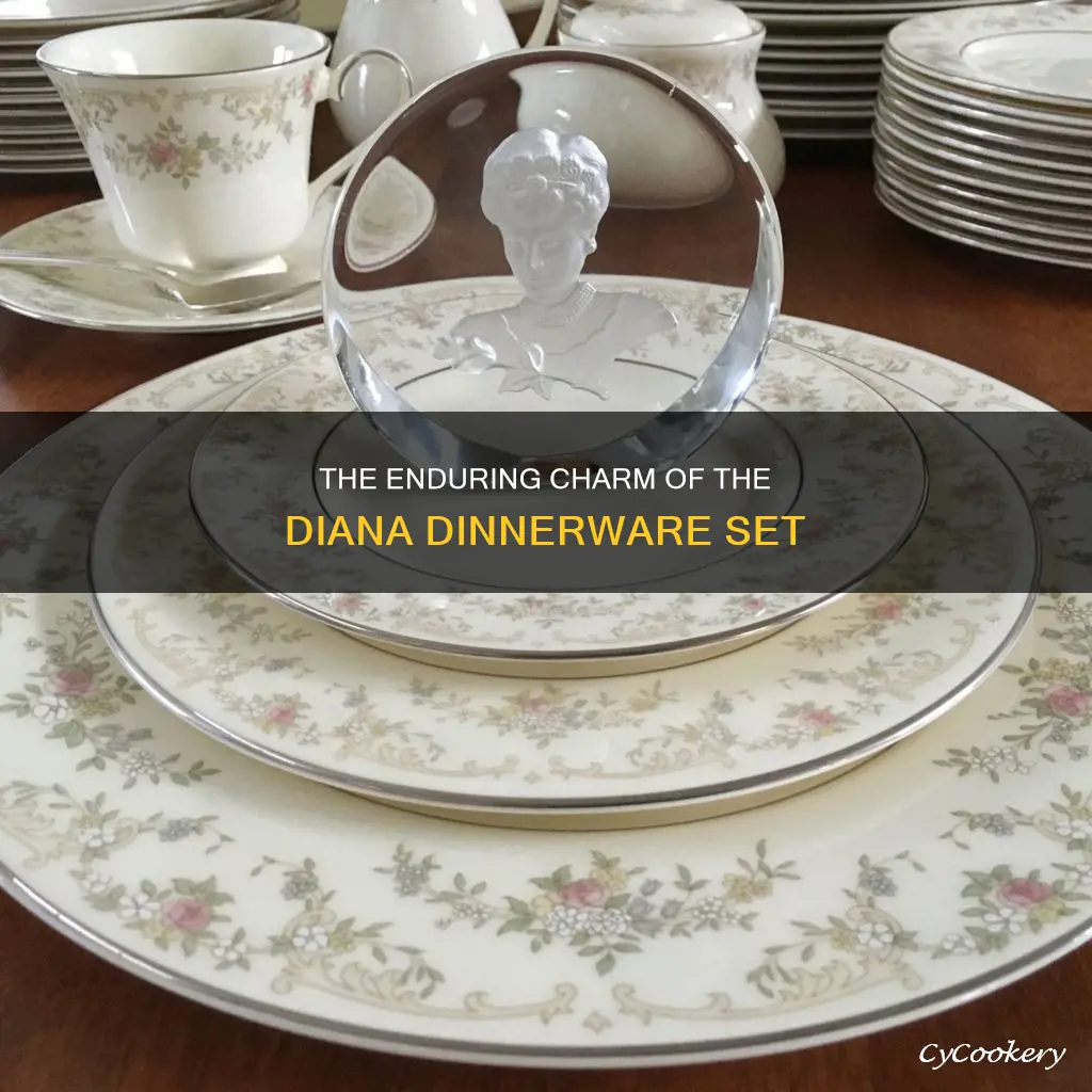 diana dinnerware set