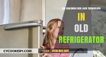 Children Trapped in Old Refrigerators: A Forgotten Household Danger