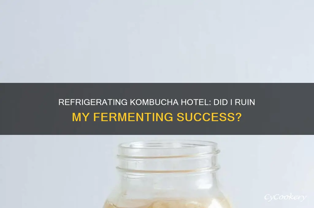 did i ruin my kombucha hotel by refrigerating it
