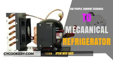 From Iceboxes to Fridges: Did People Convert to Mechanical Refrigeration?