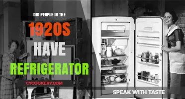 1920s Refrigeration: Did Households Embrace the Cooling Revolution?