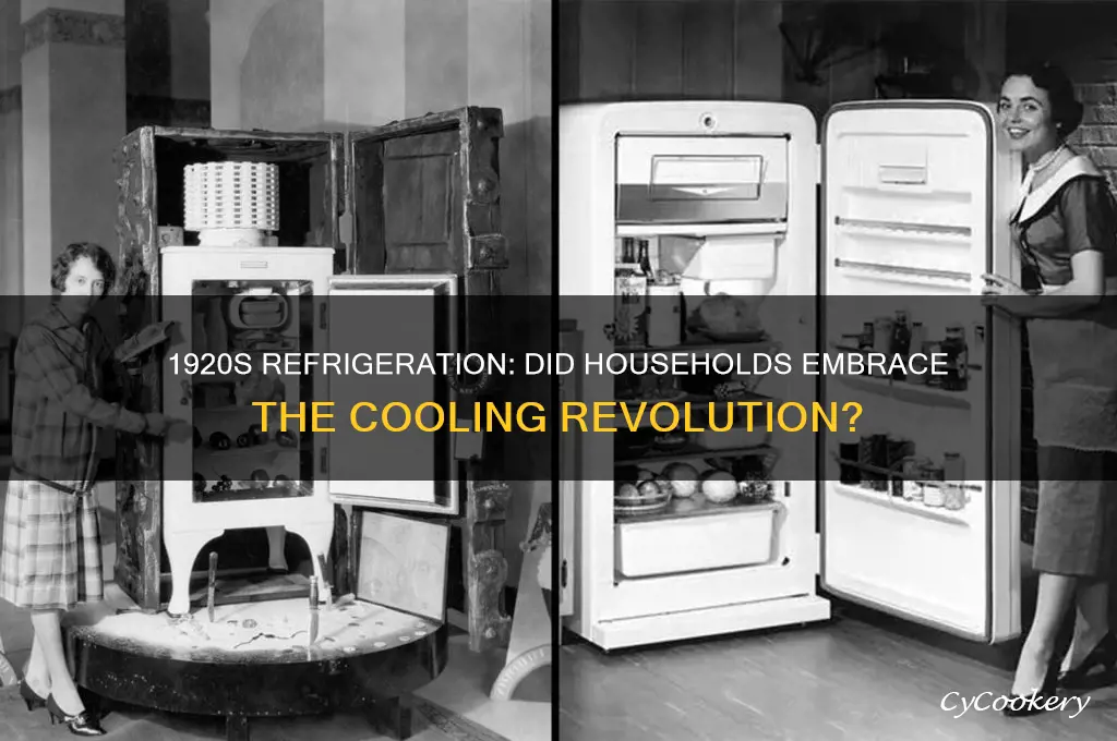did people in the 1920s have refrigerator