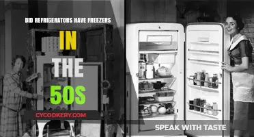 1950s Refrigerators: Did They Include Freezers as a Standard Feature?
