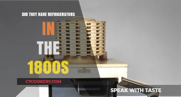 Chilling History: Refrigeration in the 1800s – Fact or Fiction?